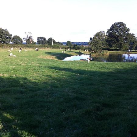 Crich Lane Farm Bed & Breakfast Alfreton Exterior foto