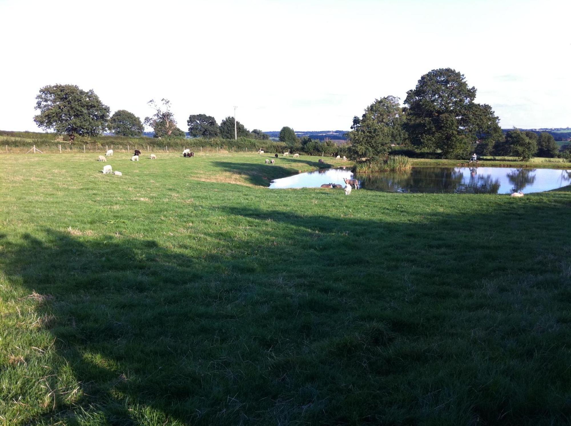 Crich Lane Farm Bed & Breakfast Alfreton Exterior foto